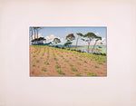 Douarnenez vu du Ris par Henri Rivière