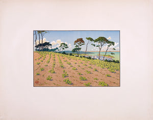 Douarnenez vu du Ris par Henri Rivière