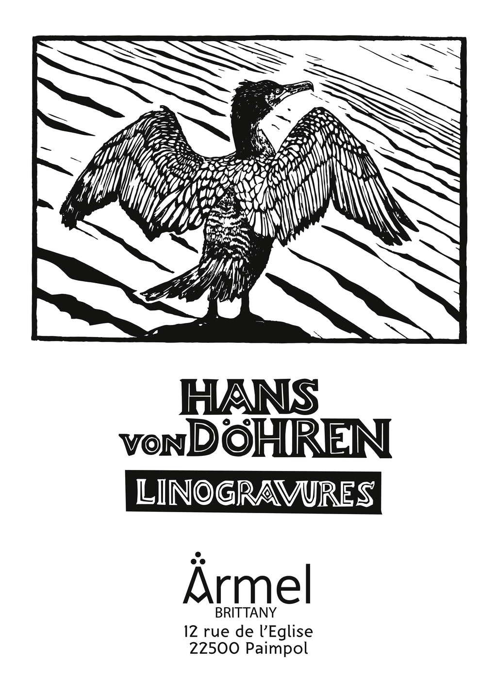 Hans von Döhren - Le cormoran